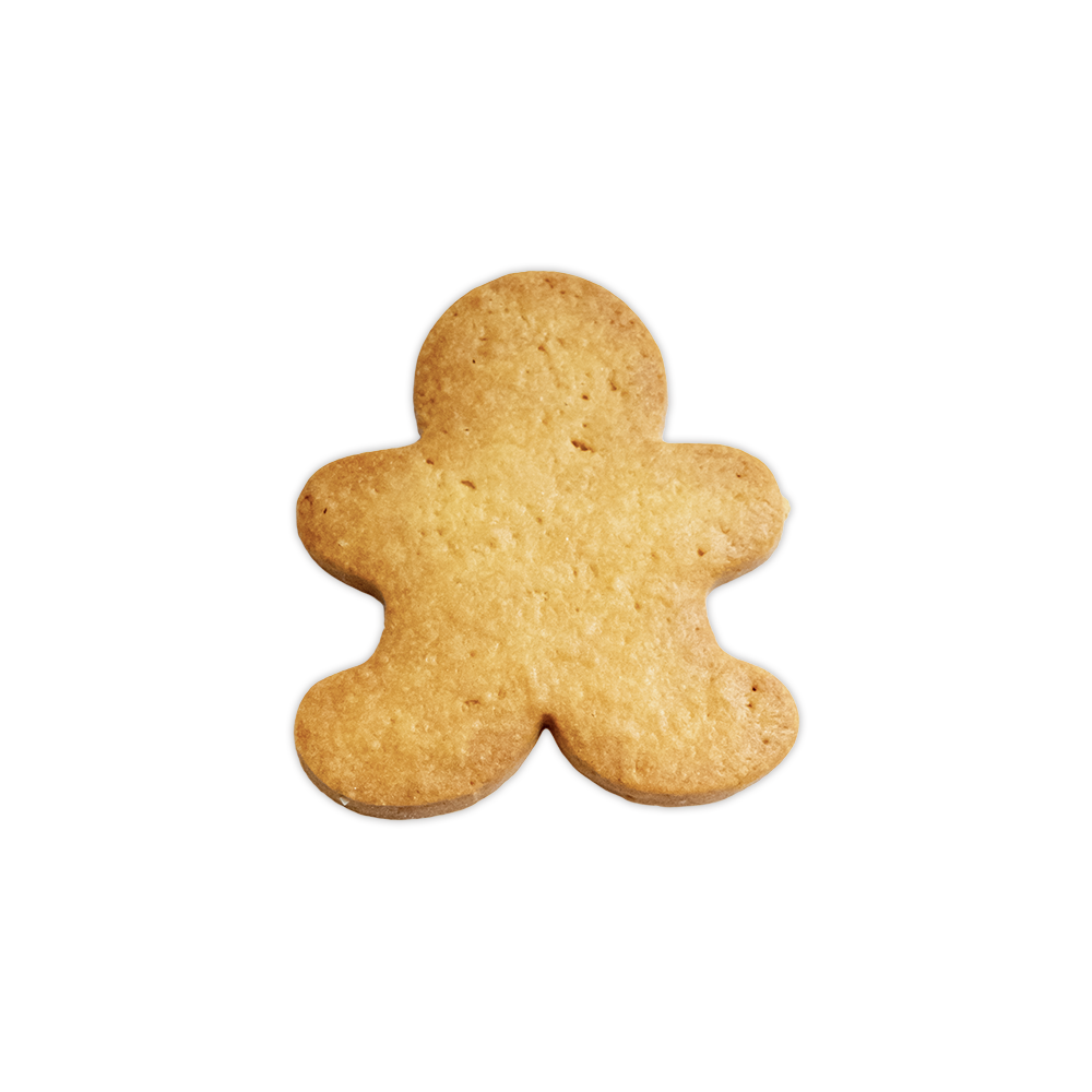 Christmas Cookie DIY Kit