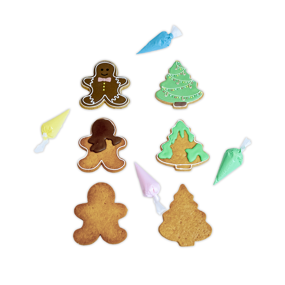 Christmas Cookie DIY Kit