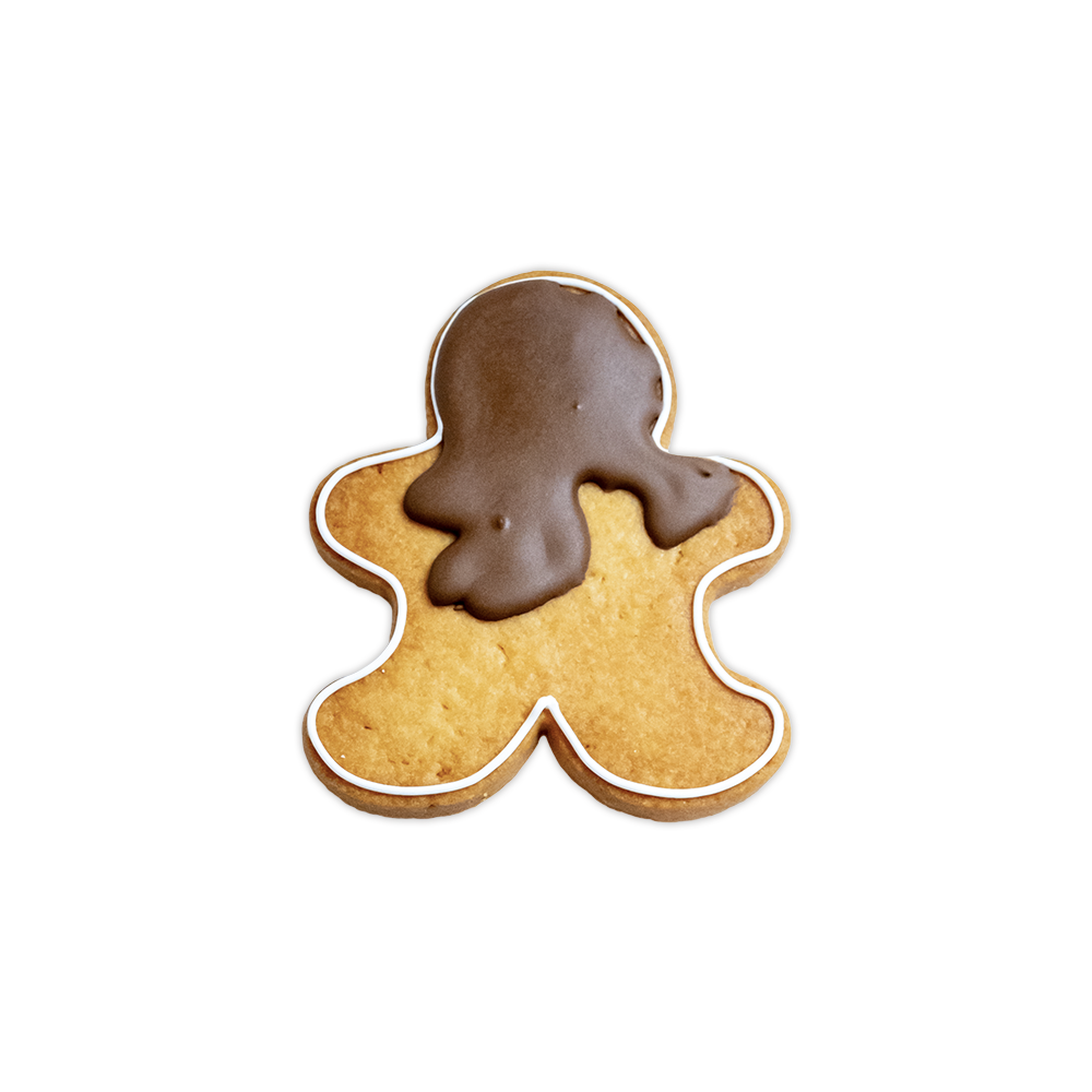 Christmas Cookie DIY Kit