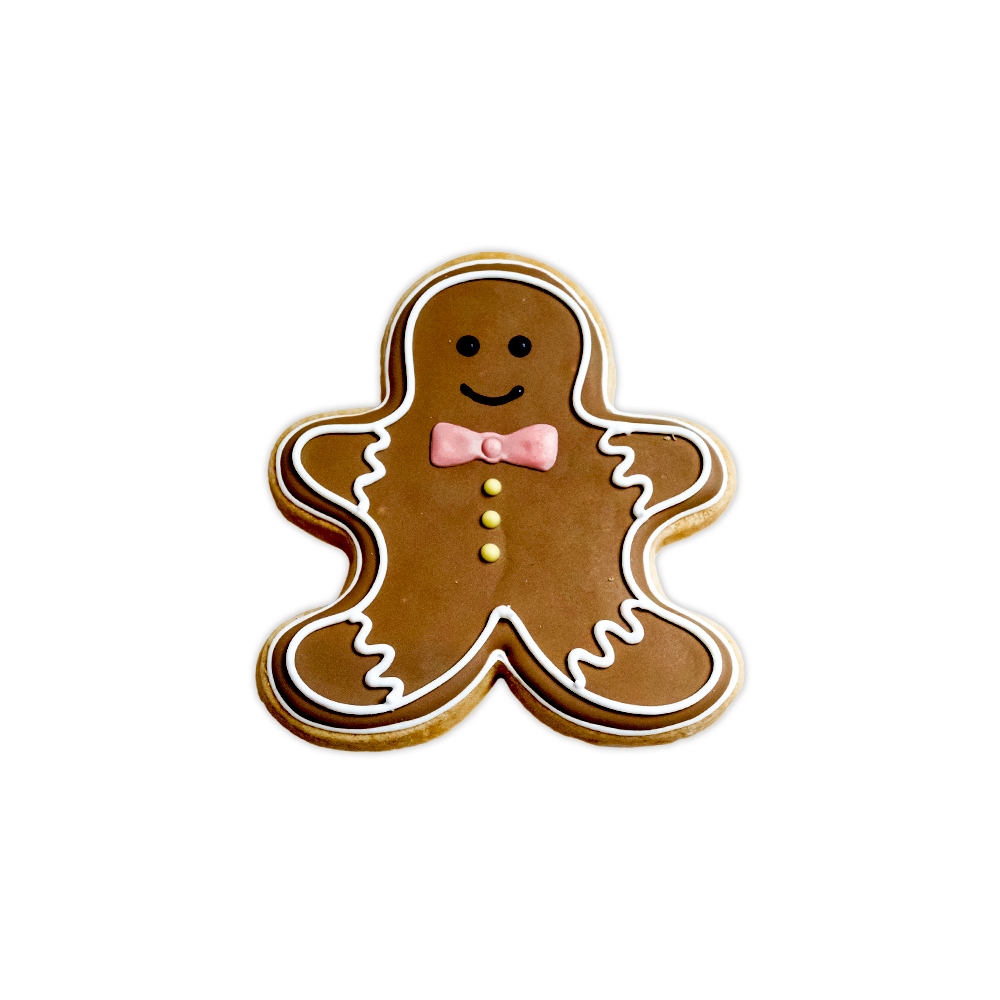 Christmas Cookie DIY Kit